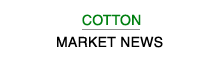 Cotton Market News